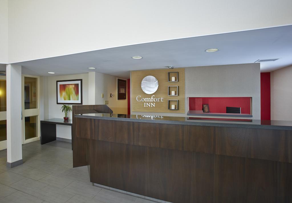 Comfort Inn East Moncton Bagian luar foto